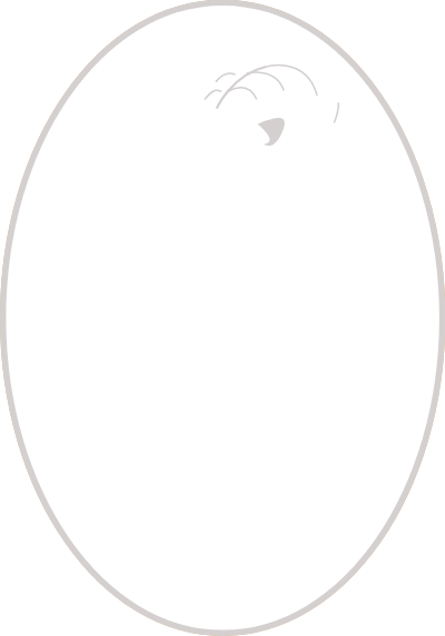 CDG Veniano 1984